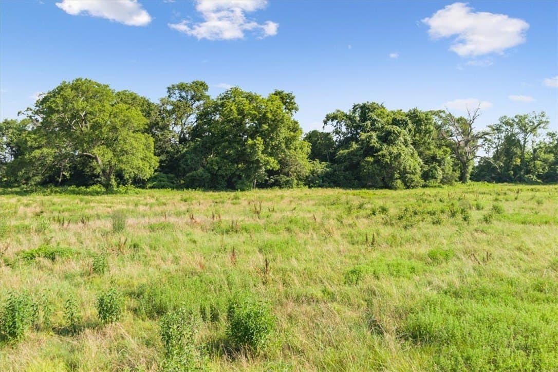 20.04 acres in Limestone County - photo 14