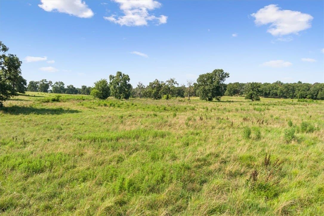 20.04 acres in Limestone County - photo 12