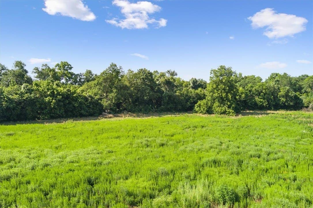 20.04 acres in Limestone County - photo 7