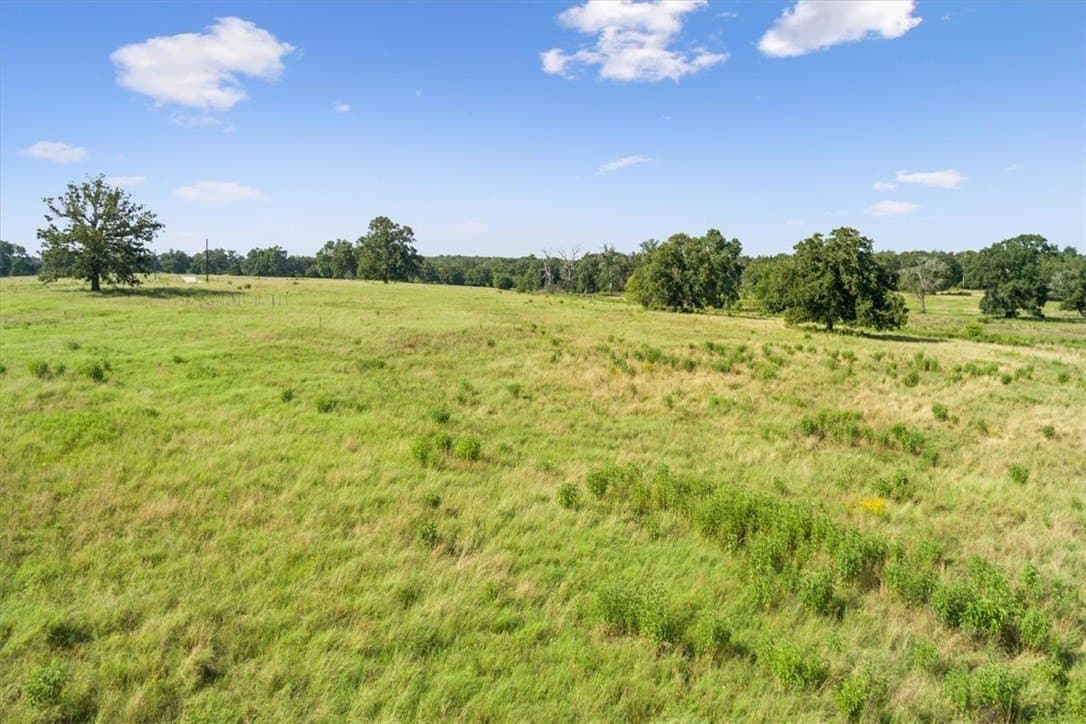 20.04 acres in Limestone County - photo 3