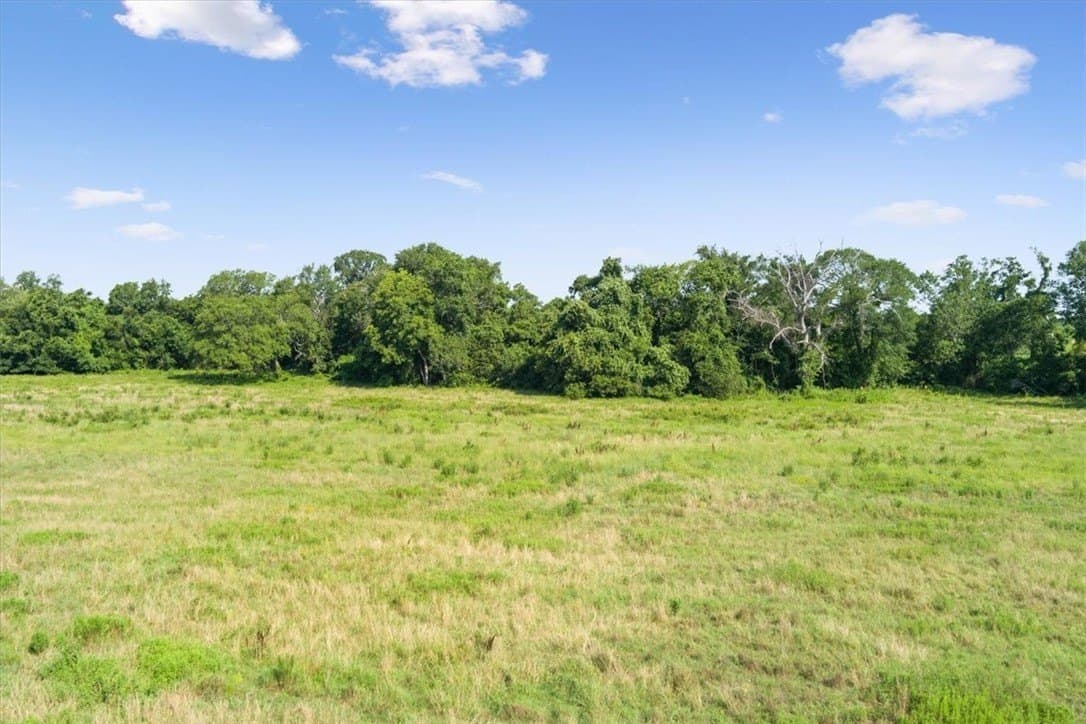 20.04 acres in Limestone County - photo 10