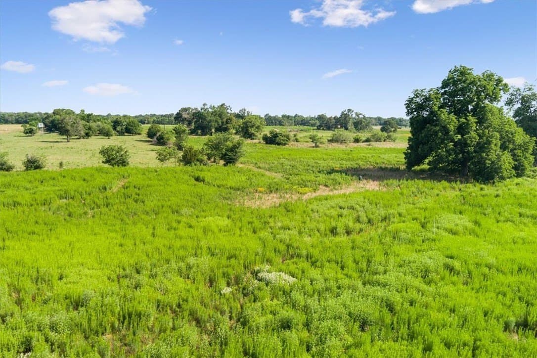 20.04 acres in Limestone County - photo 6
