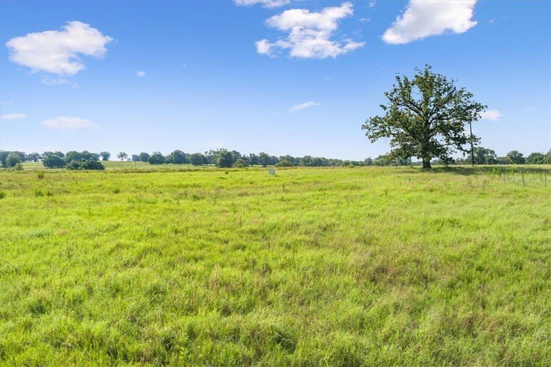 20.04 acres in Limestone County - photo 16