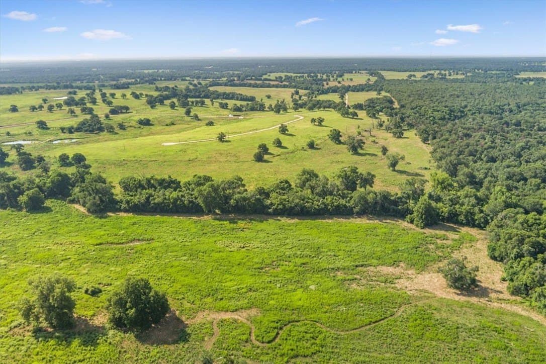 20.04 acres in Limestone County - photo 21