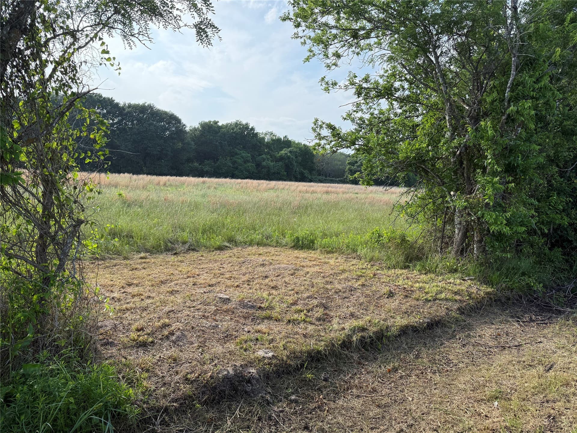 1.11 acres in Kaufman County featured view