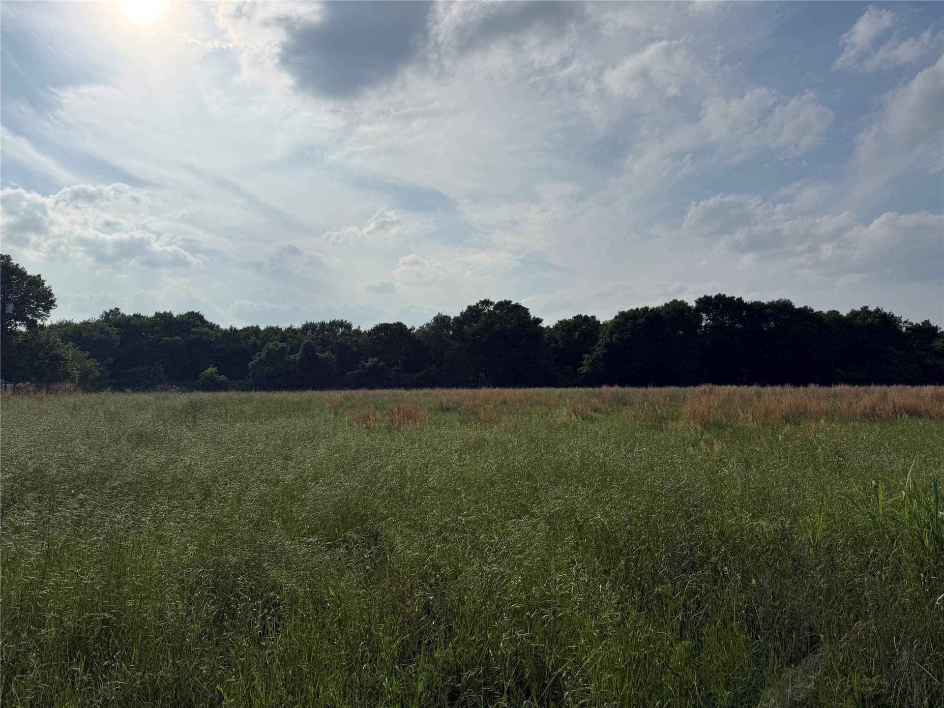 1.11 acres in Kaufman County gallery image 4
