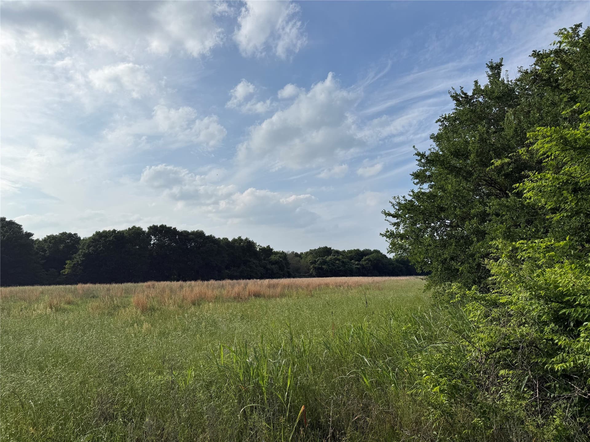 1.11 acres in Kaufman County gallery image 2