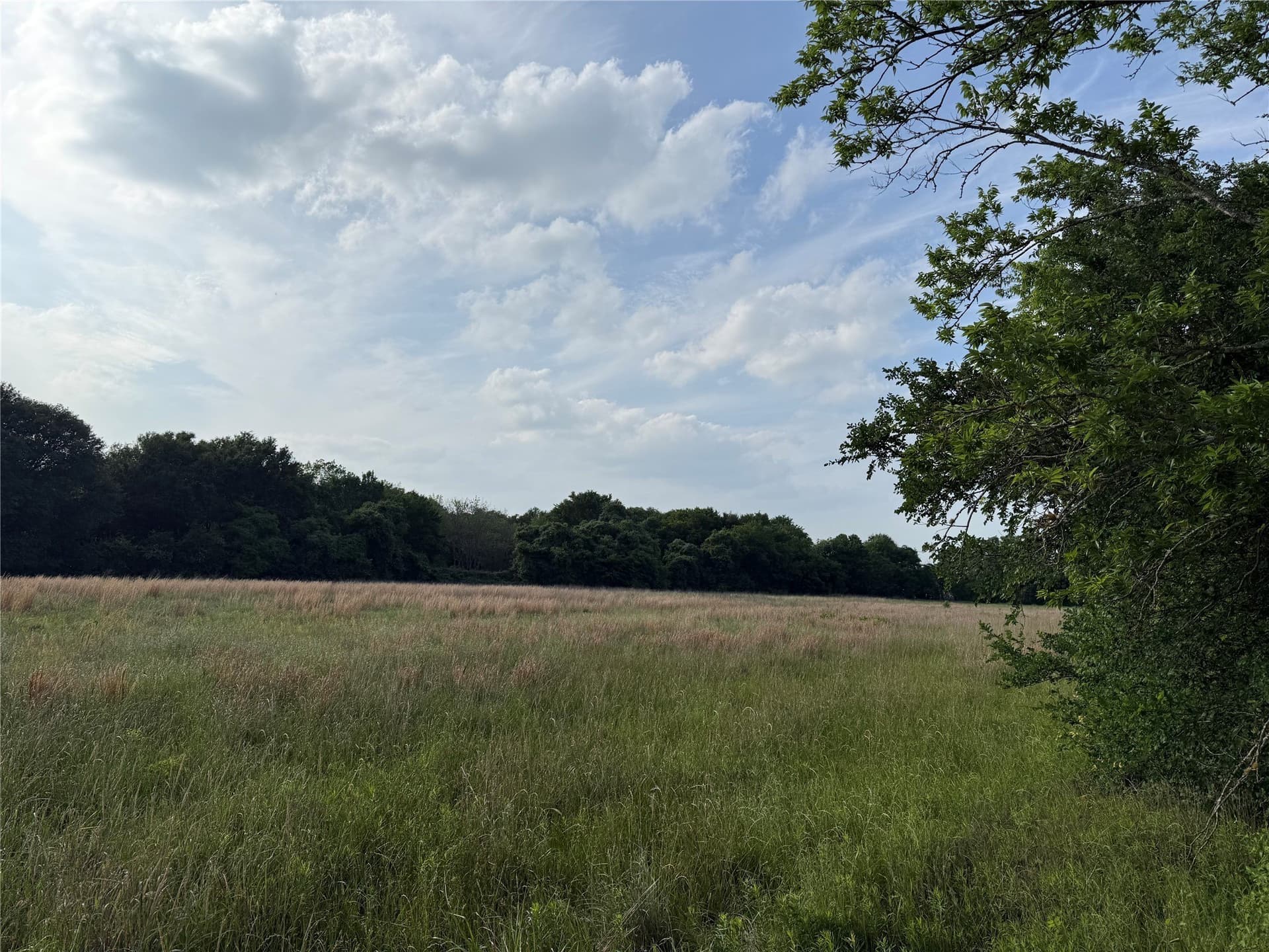 1.11 acres in Kaufman County - photo 6