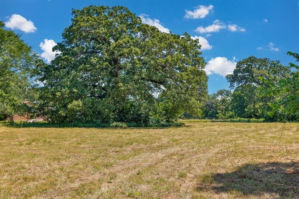 10.79 acres in Grayson County gallery image 4