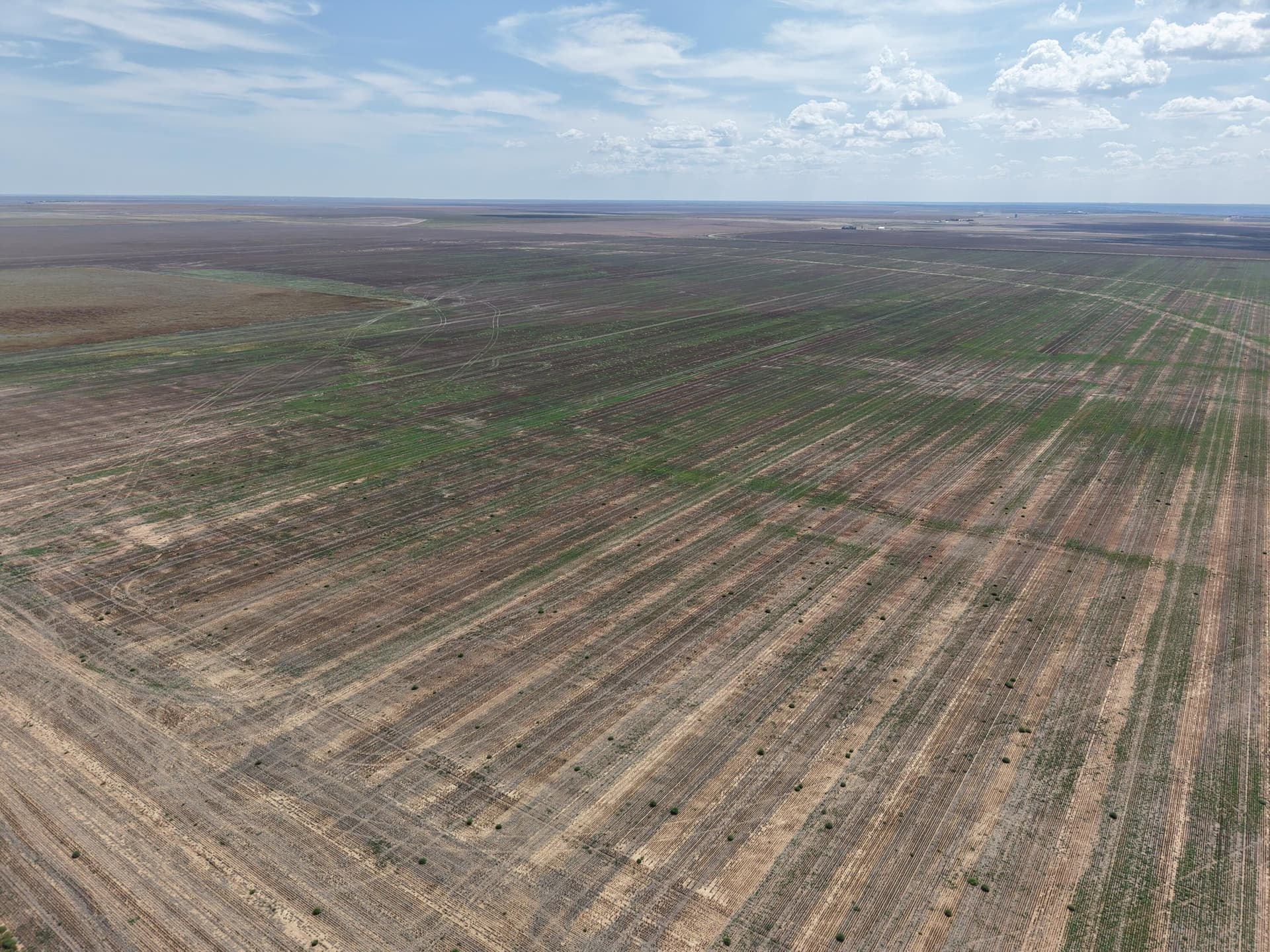 51 acres in Randall County gallery image 2