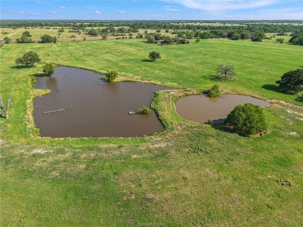 25 acres in Brazos County - photo 7