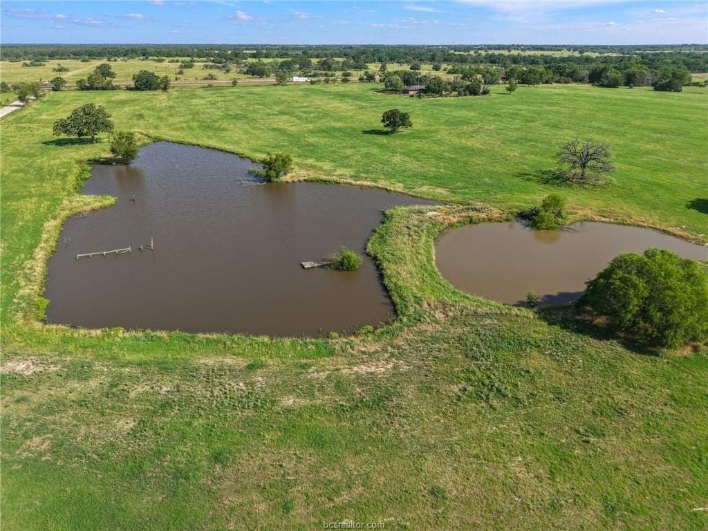 25 acres in Brazos County - photo 6