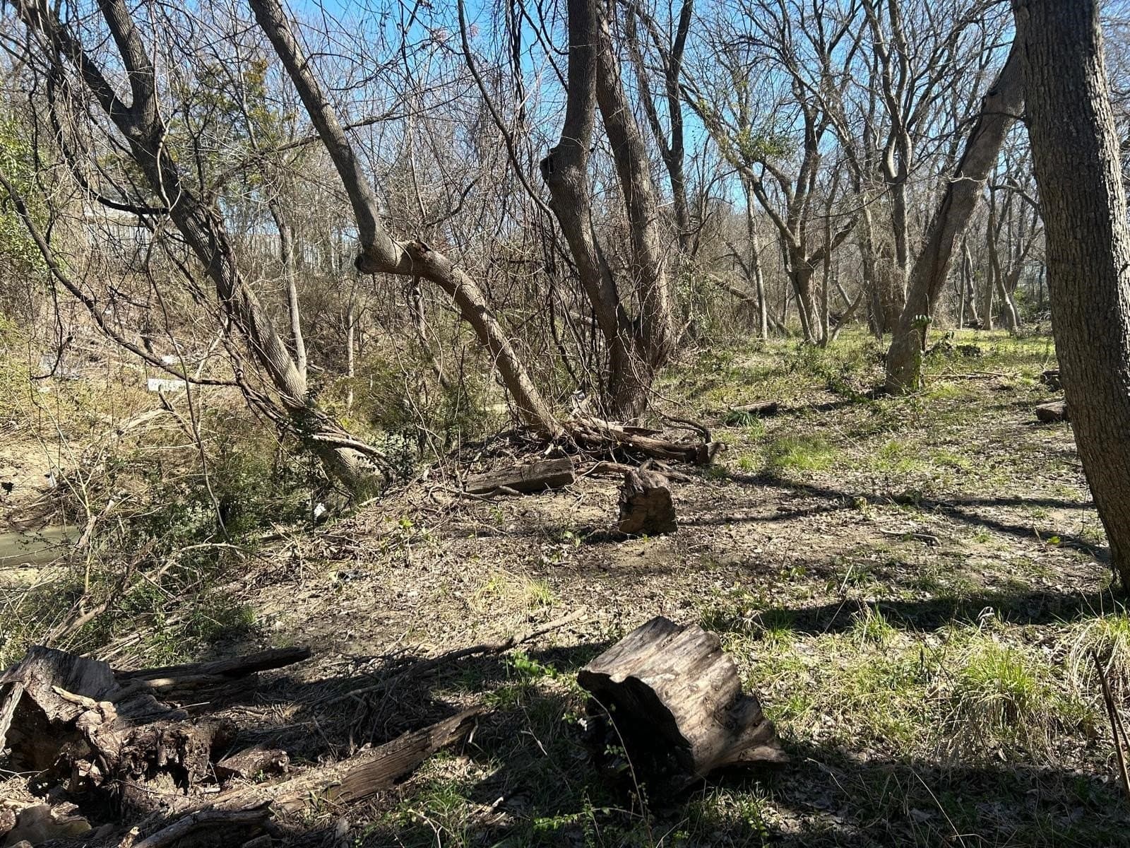 1.2 acres in Dallas County - photo 7