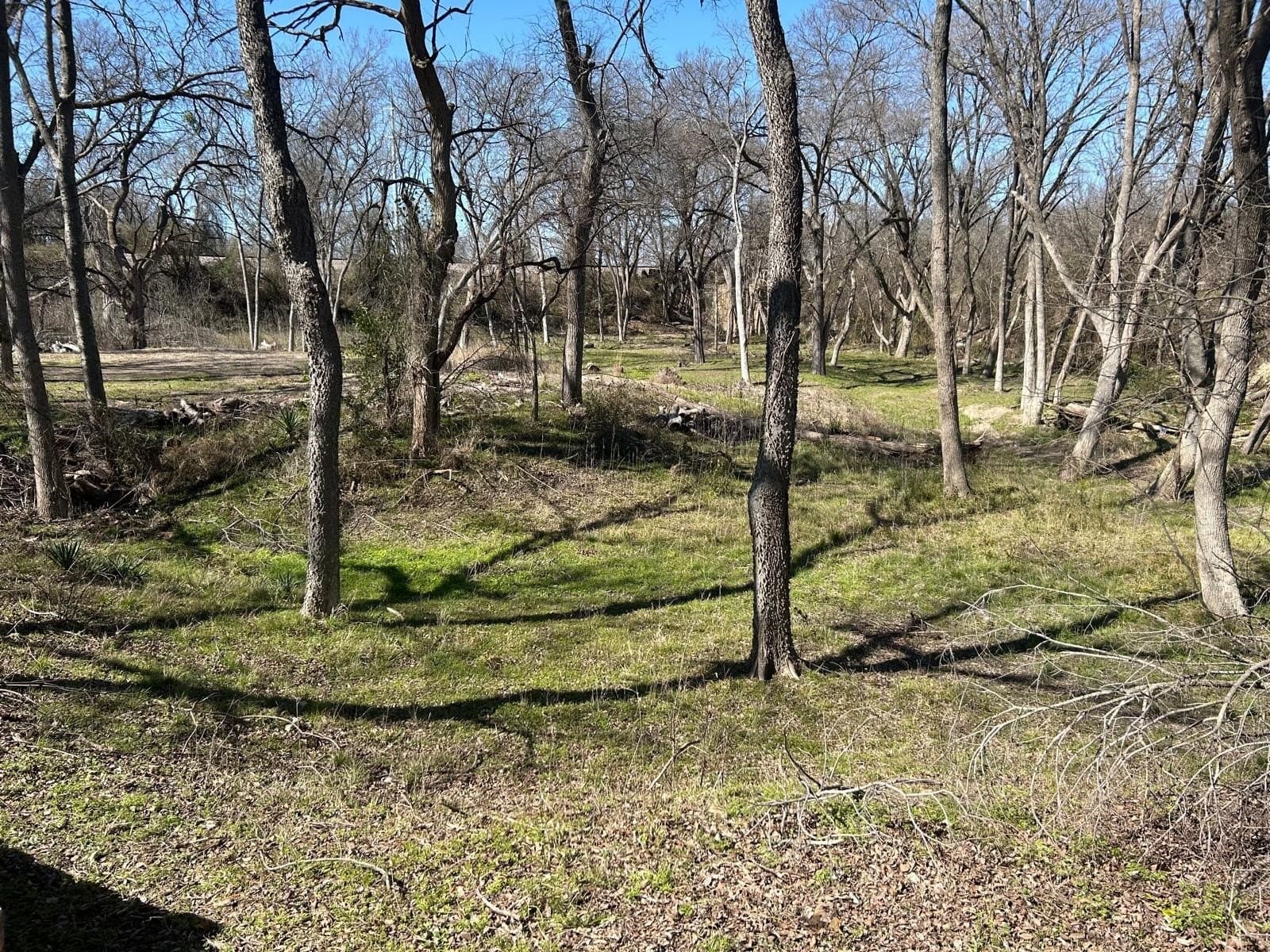 1.2 acres in Dallas County - photo 4