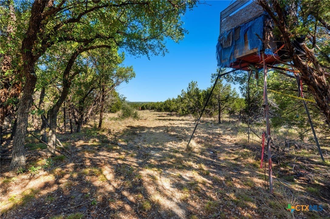 10.1 acres in Coryell County - photo 35