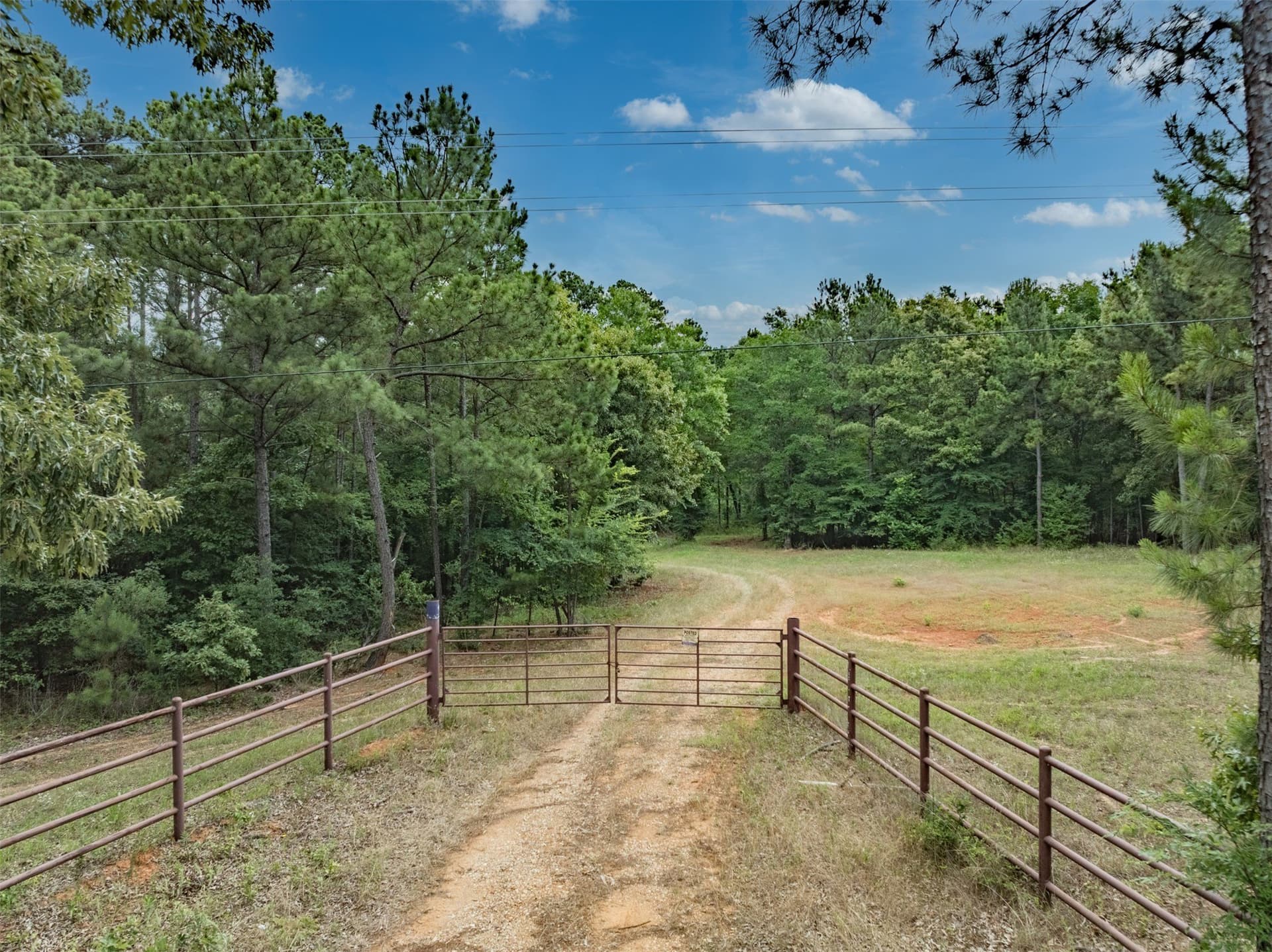 100.33 acres in Smith County - photo 2