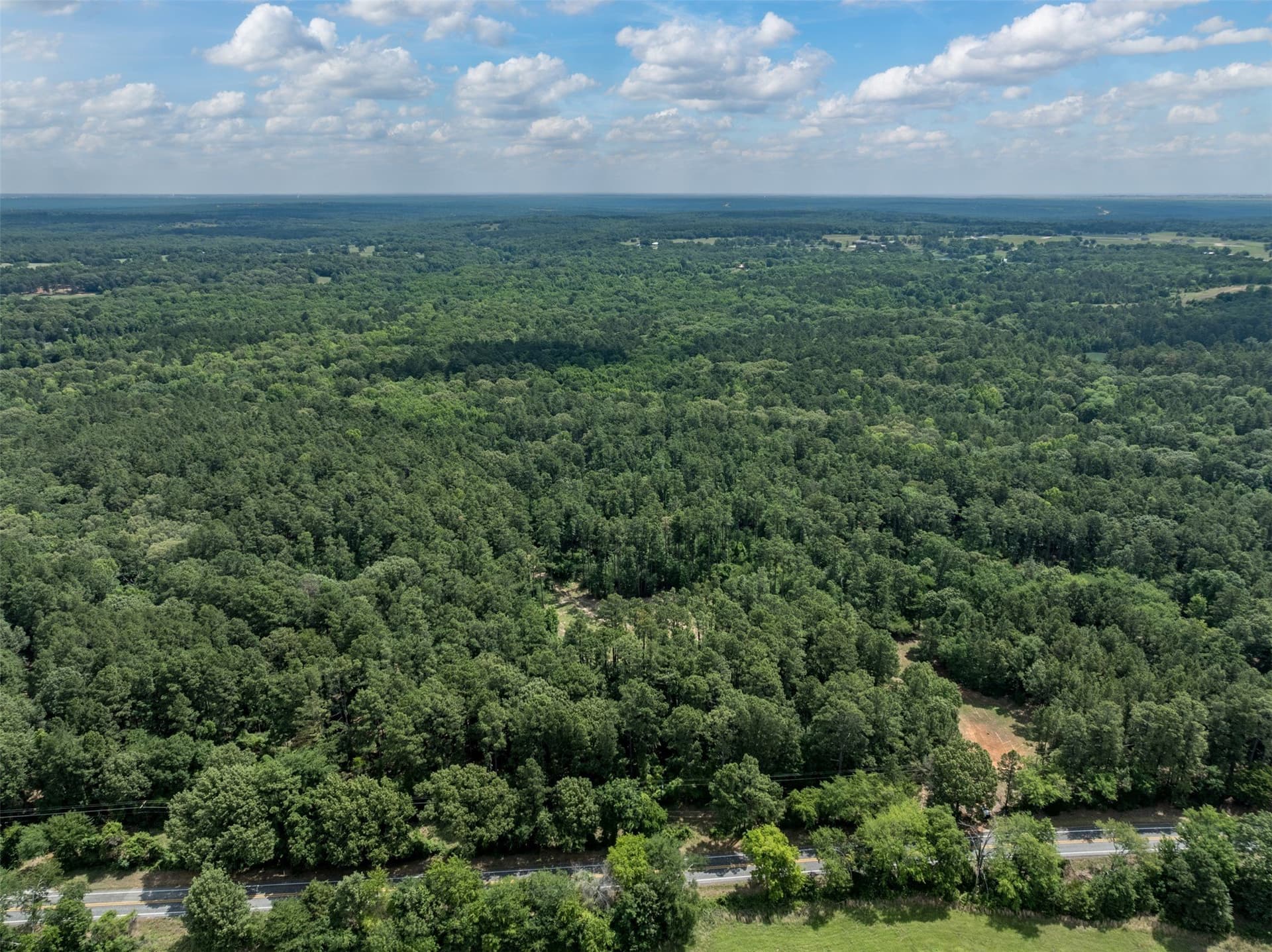 100.33 acres in Smith County - photo 5