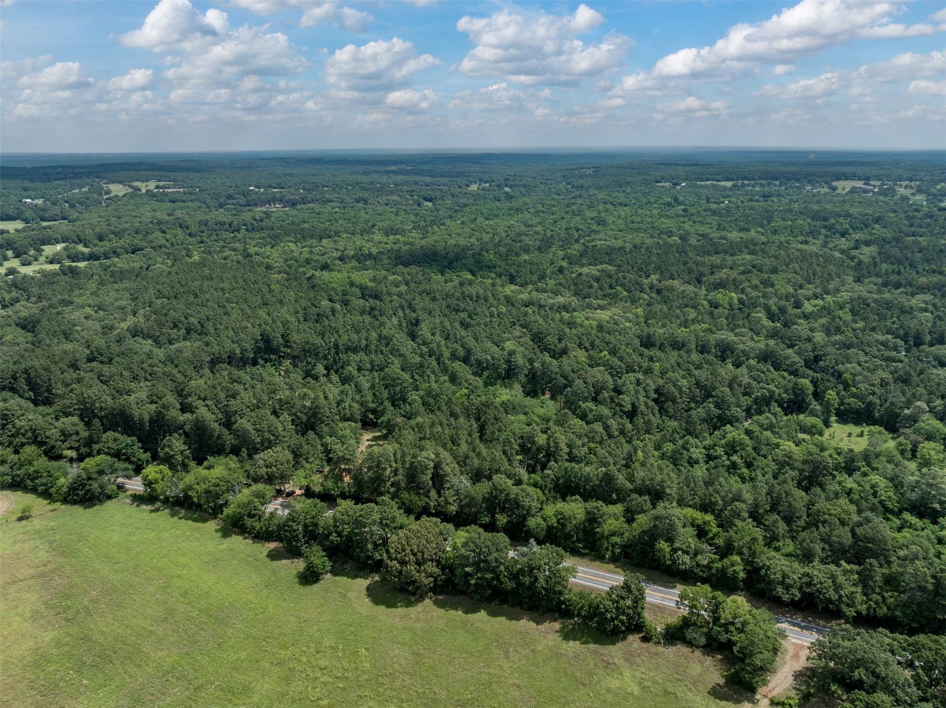 100.33 acres in Smith County - photo 6