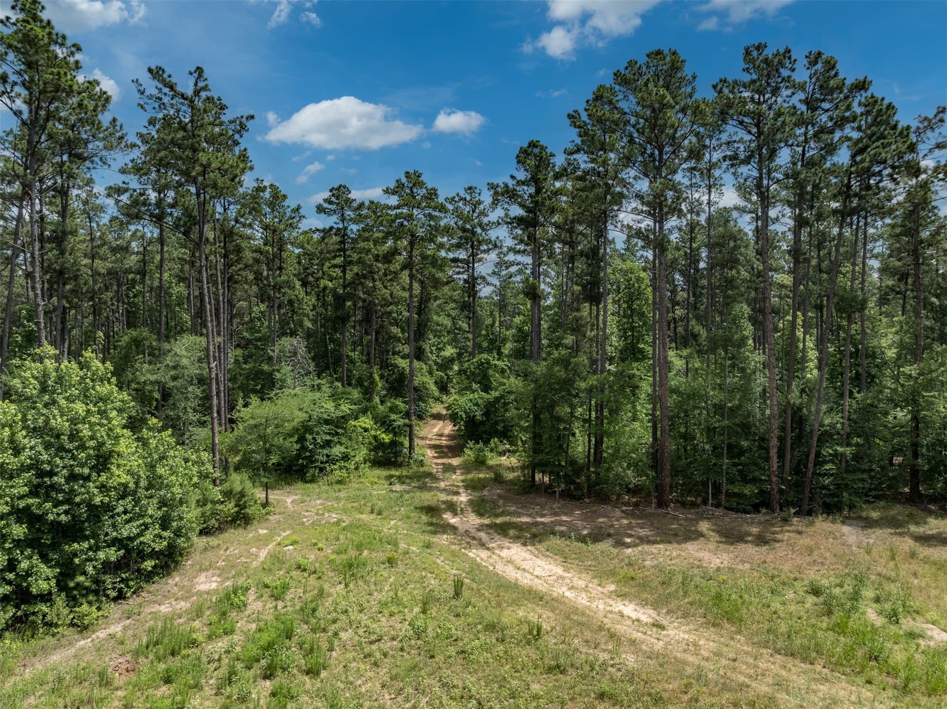 100.33 acres in Smith County - photo 3