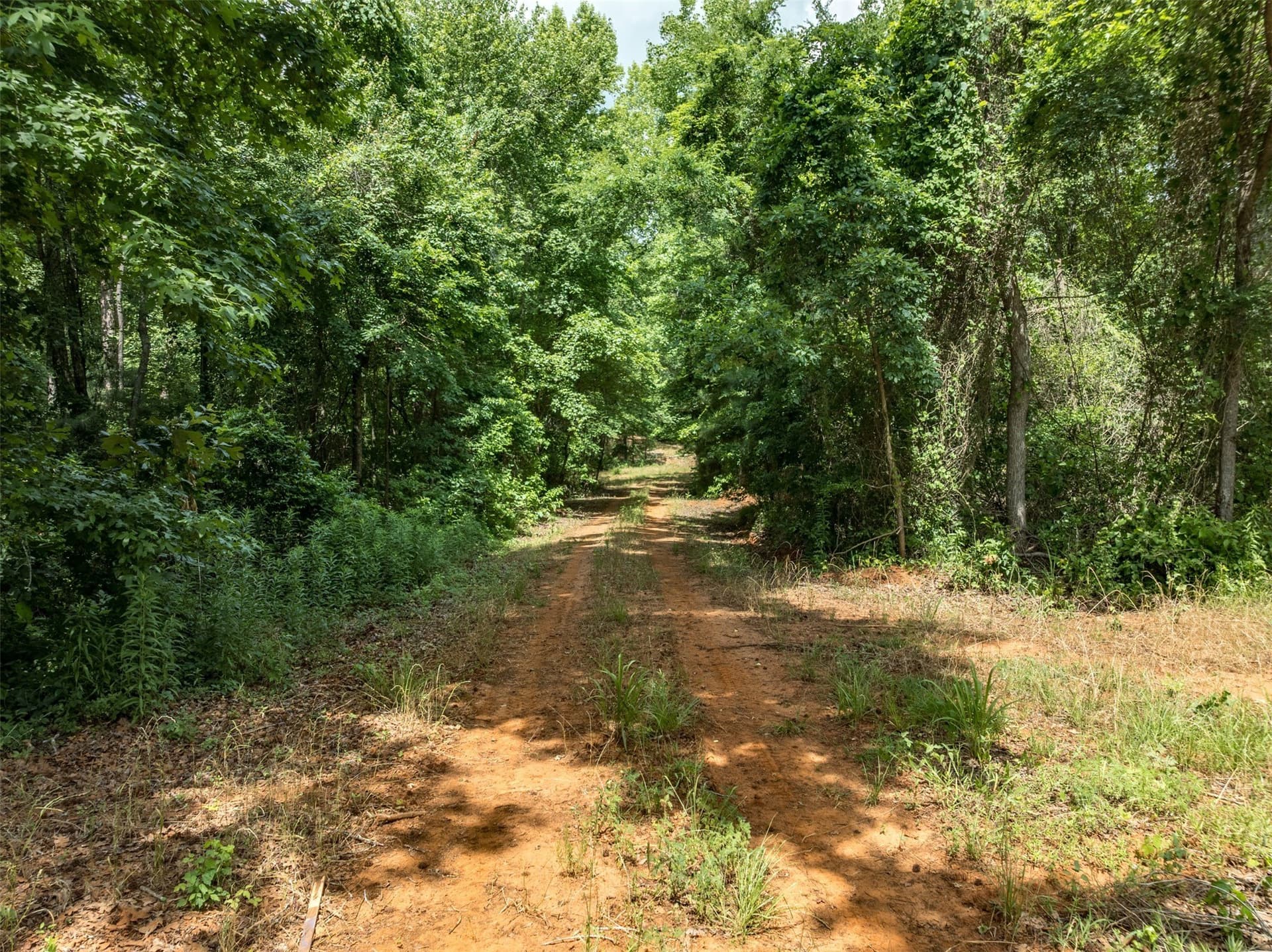 100.33 acres in Smith County - photo 4