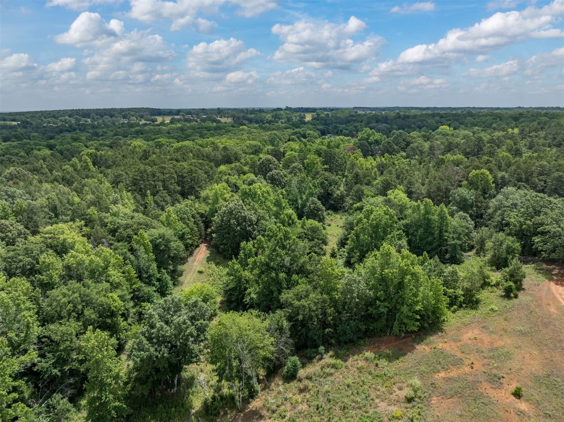 100.33 acres in Smith County - photo 16