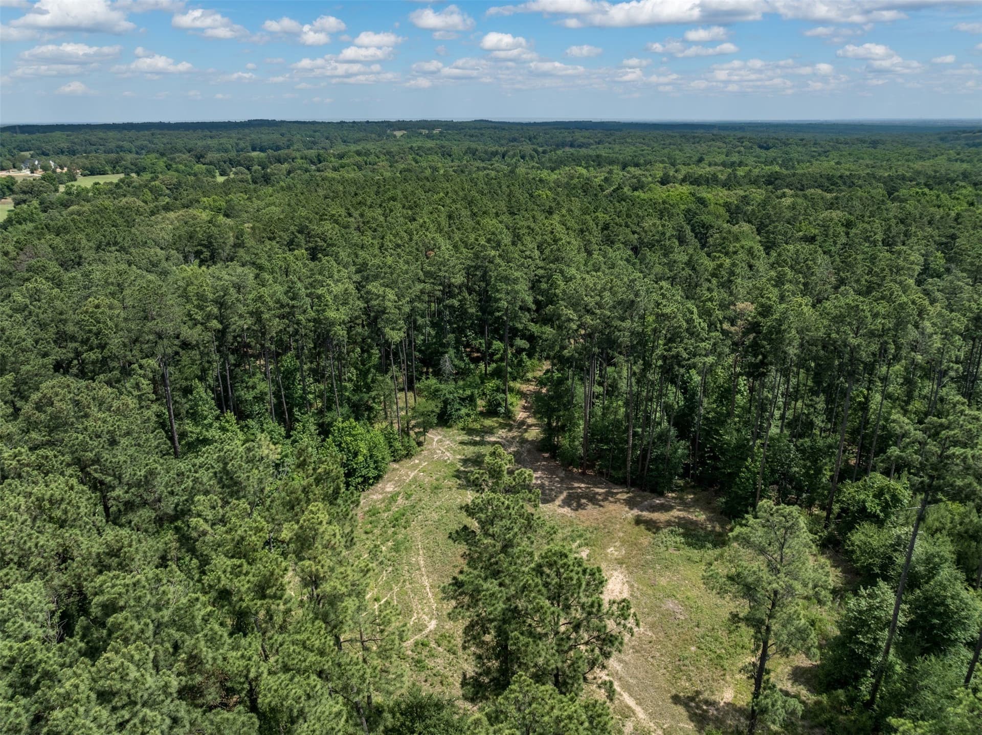 100.33 acres in Smith County - photo 13