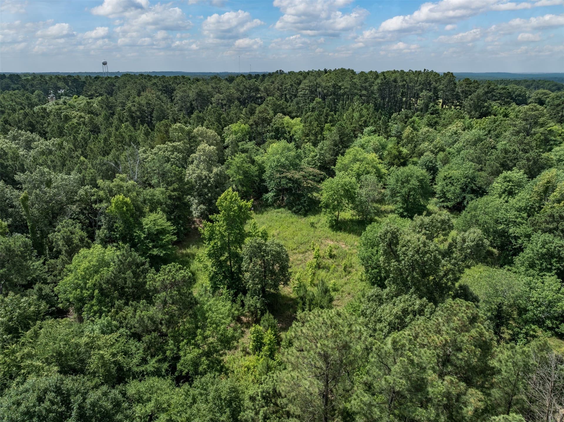 100.33 acres in Smith County - photo 12