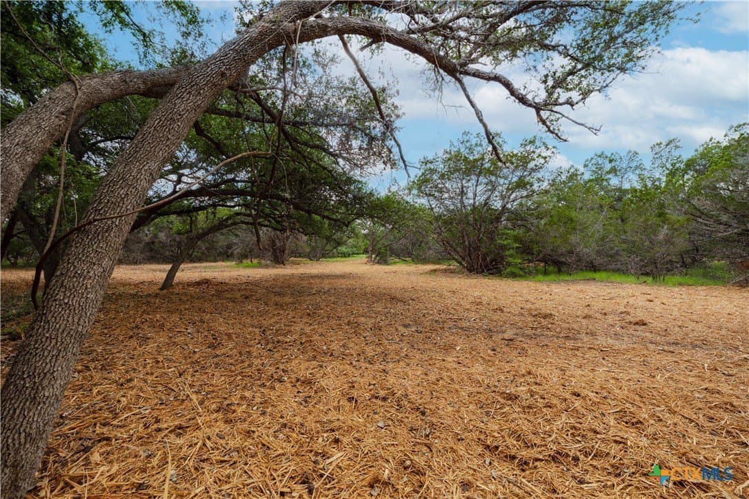 5.25 acres in Williamson County gallery image 4