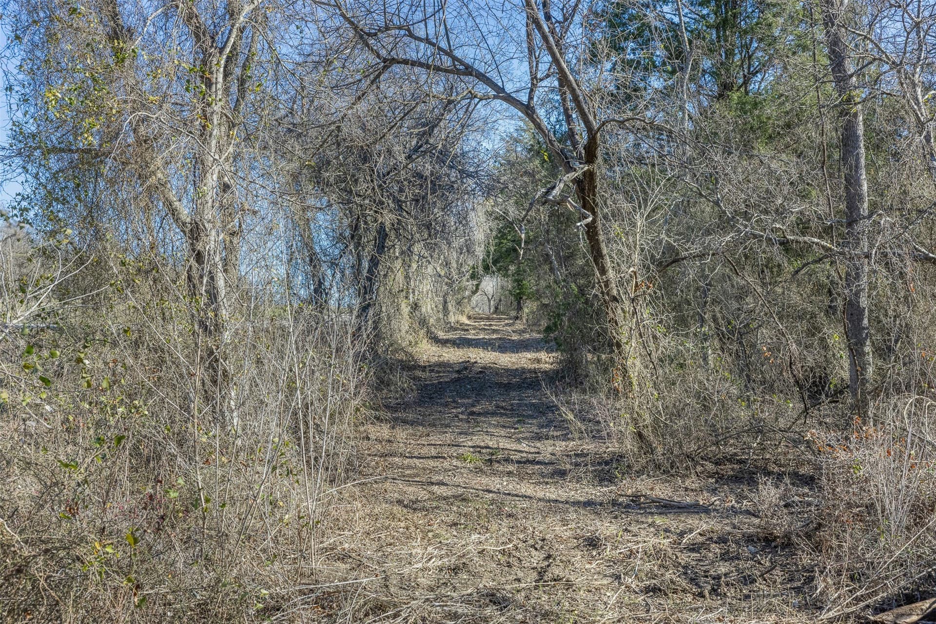 26 acres in Limestone County - photo 15