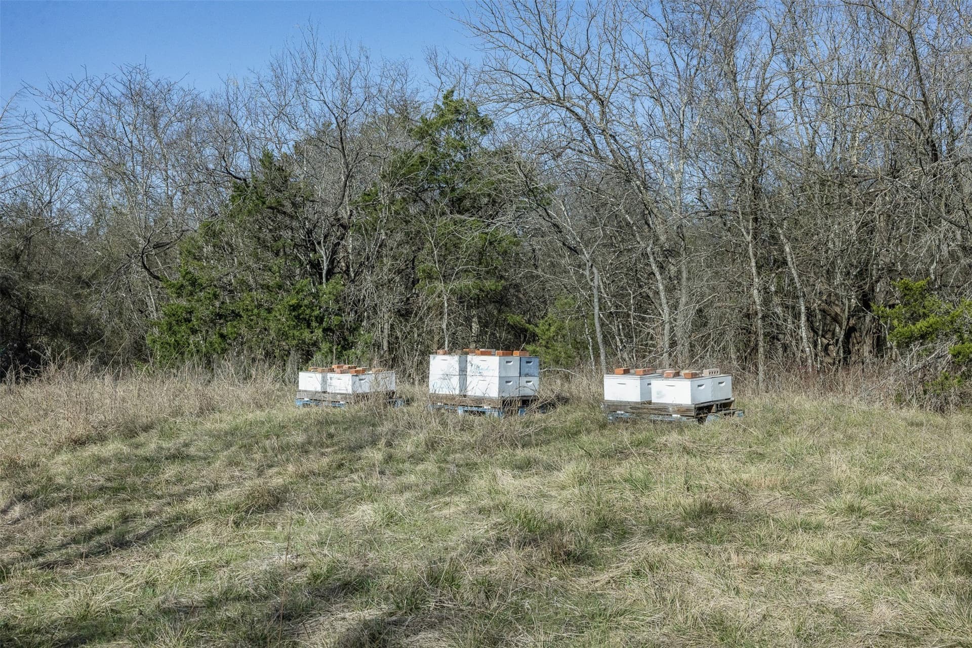 26 acres in Limestone County - photo 8
