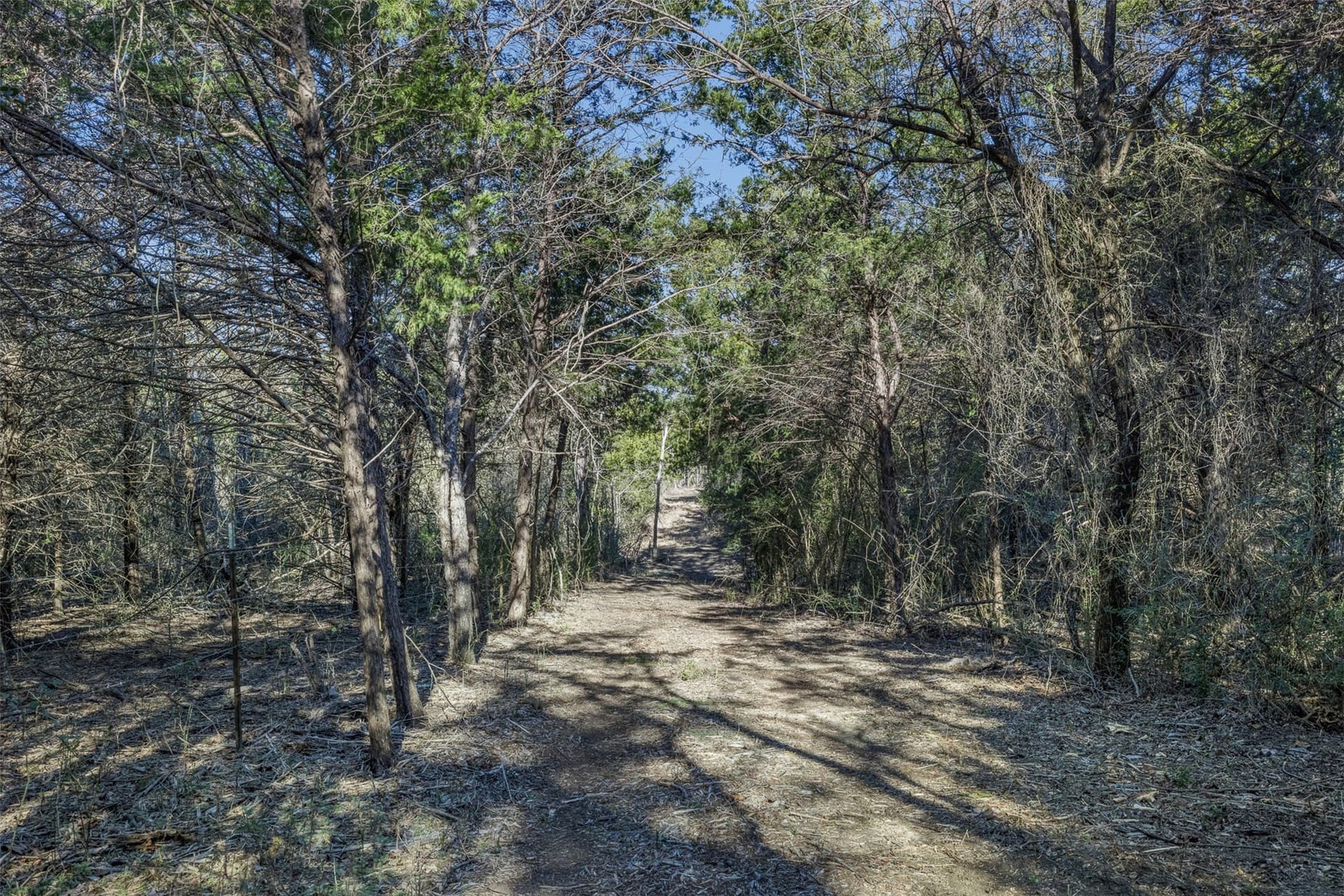 26 acres in Limestone County - photo 9