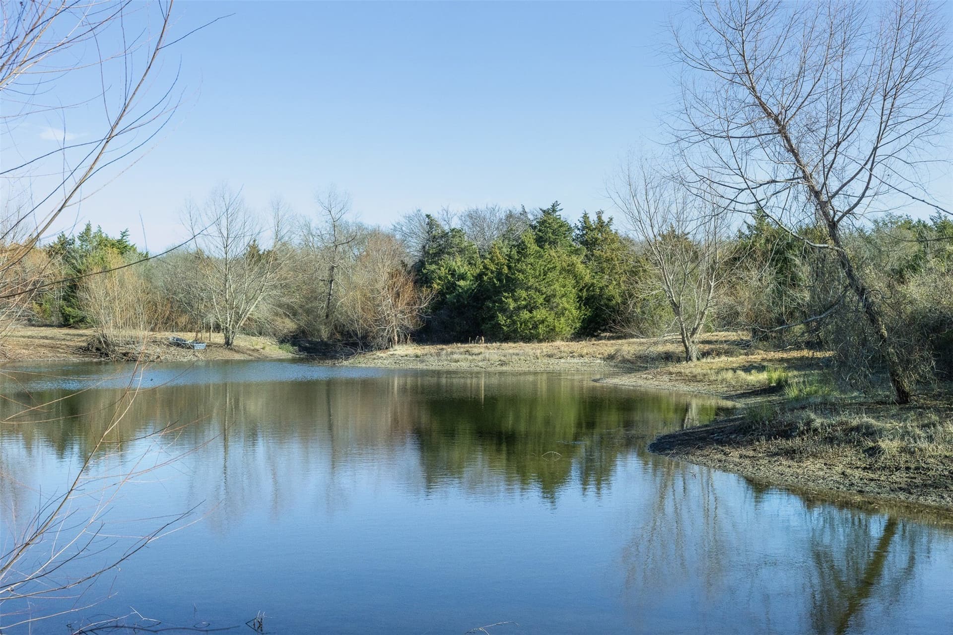 26 acres in Limestone County - photo 11