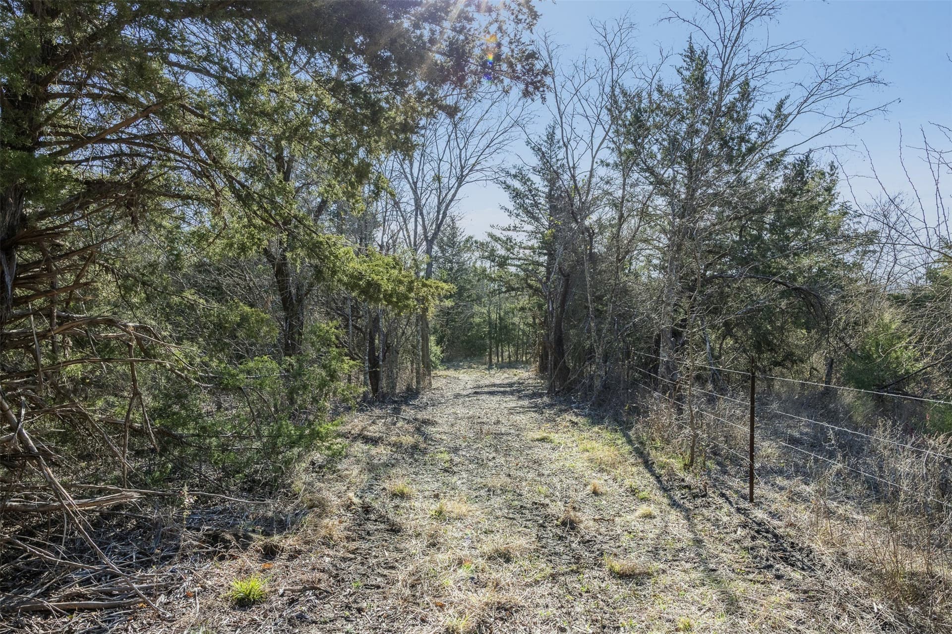 26 acres in Limestone County - photo 14