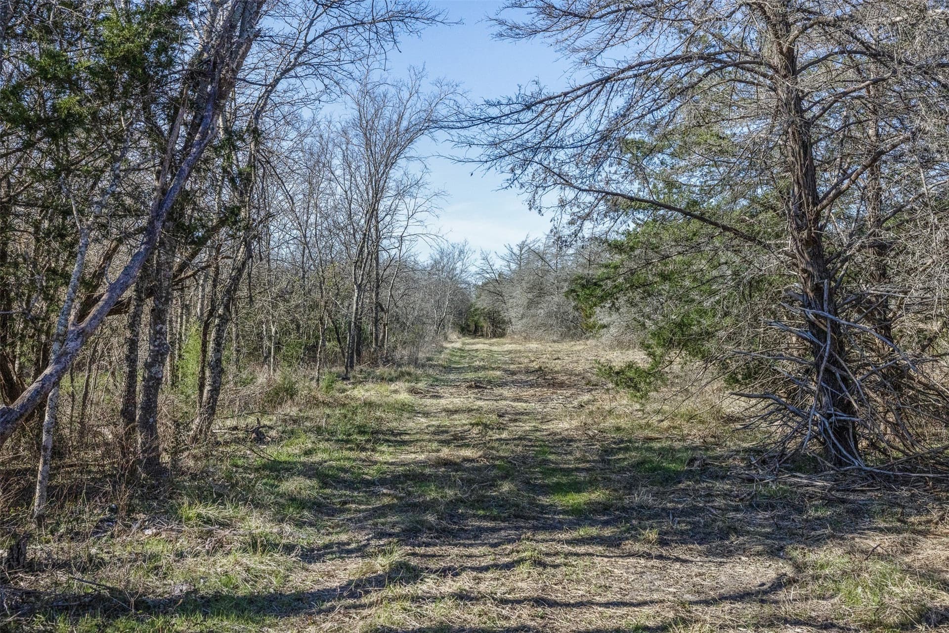26 acres in Limestone County - photo 7
