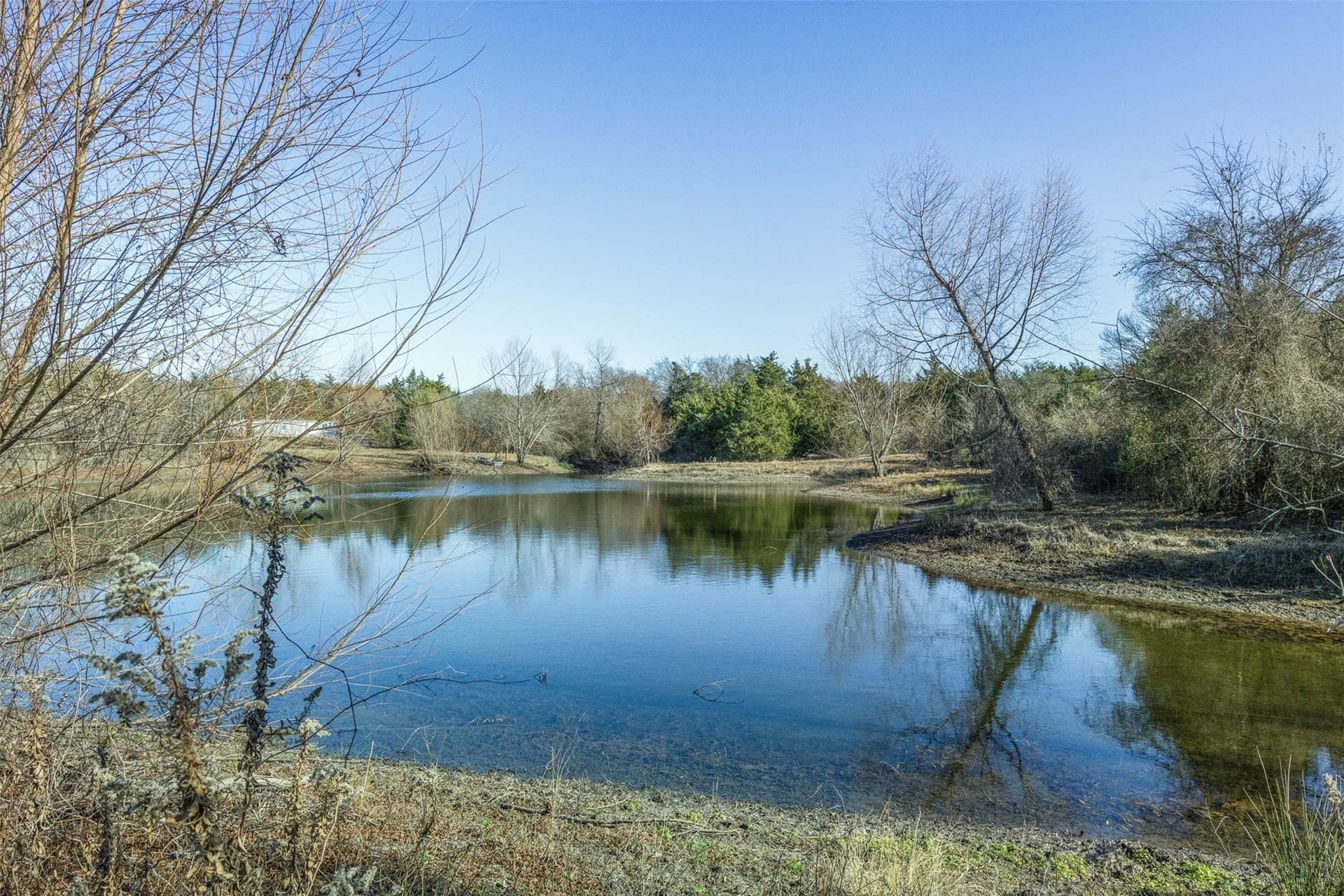 26 acres in Limestone County - photo 10