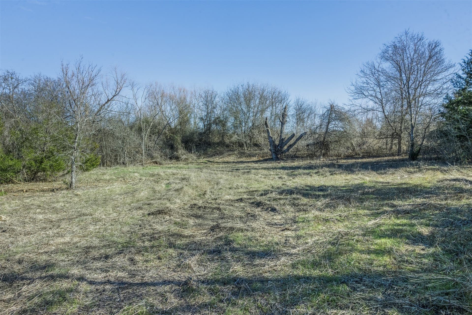 26 acres in Limestone County - photo 12