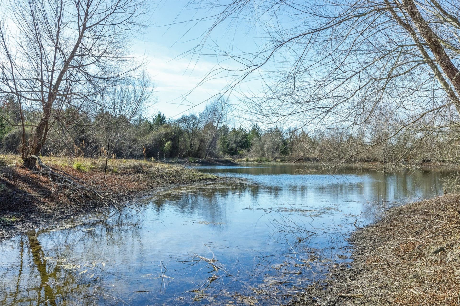 26 acres in Limestone County - photo 17