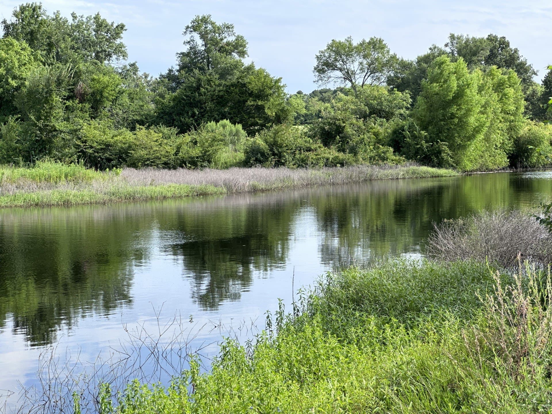 19.85 acres in Titus County - photo 22