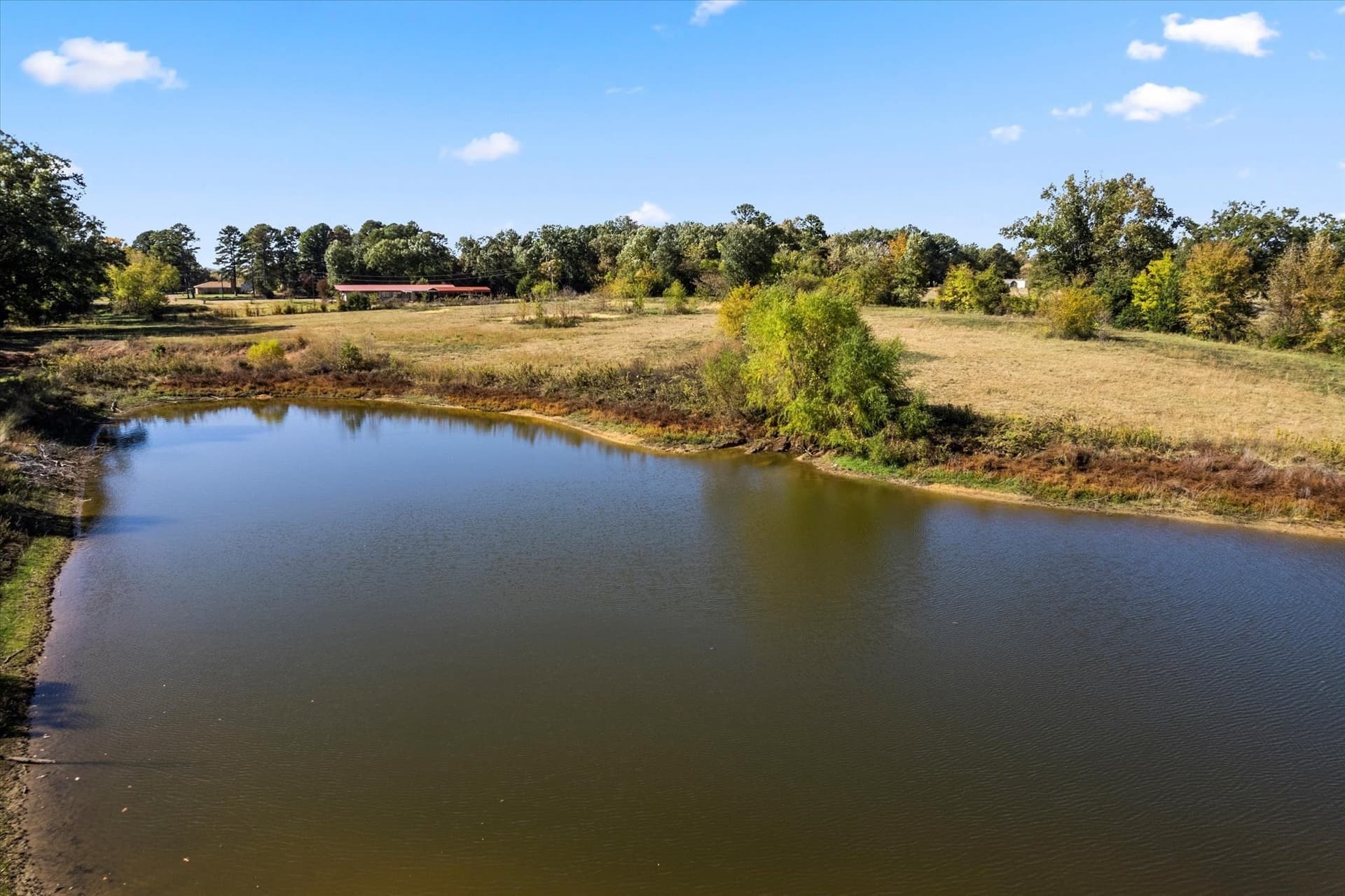 19.85 acres in Titus County - photo 10