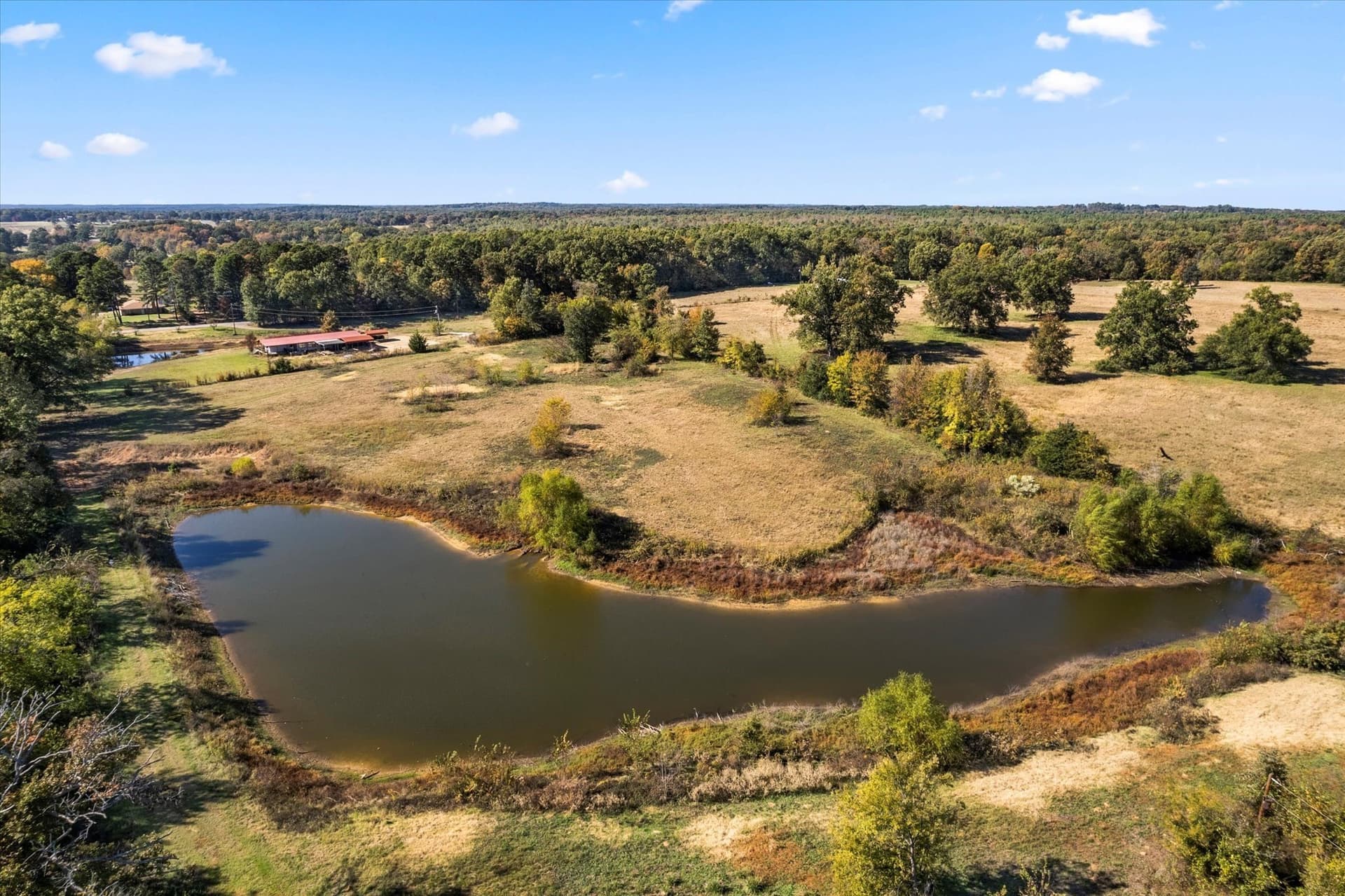 19.85 acres in Titus County - photo 9