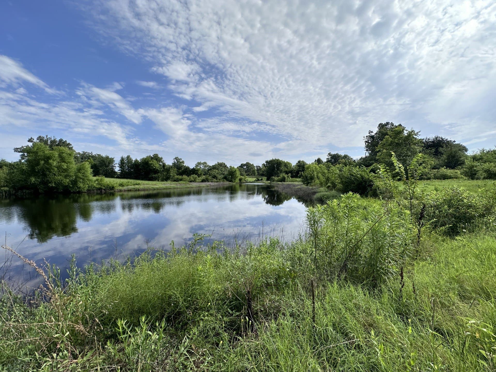 19.85 acres in Titus County - photo 21
