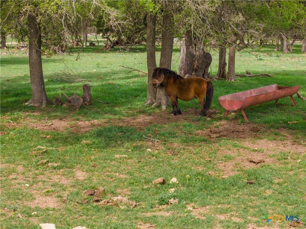 15 acres in Bell County - photo 38