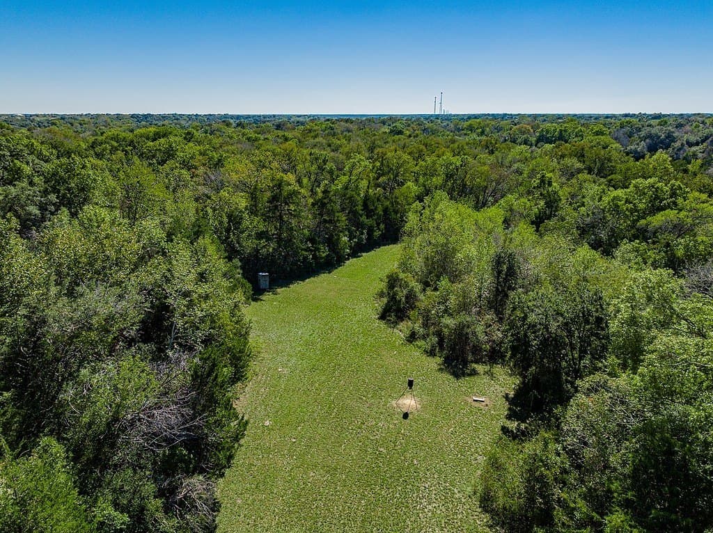 41 acres in Fayette County - photo 6