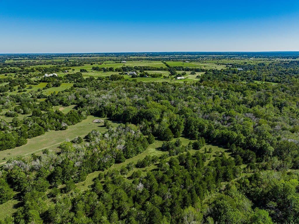 41 acres in Fayette County - photo 7