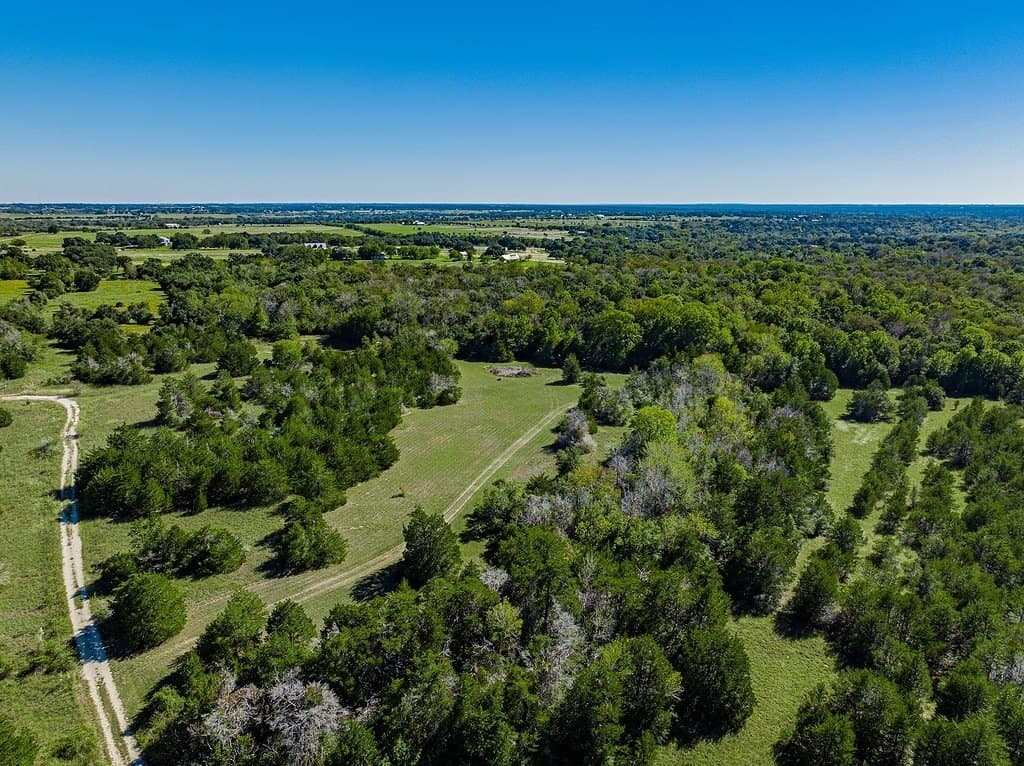 41 acres in Fayette County - photo 9