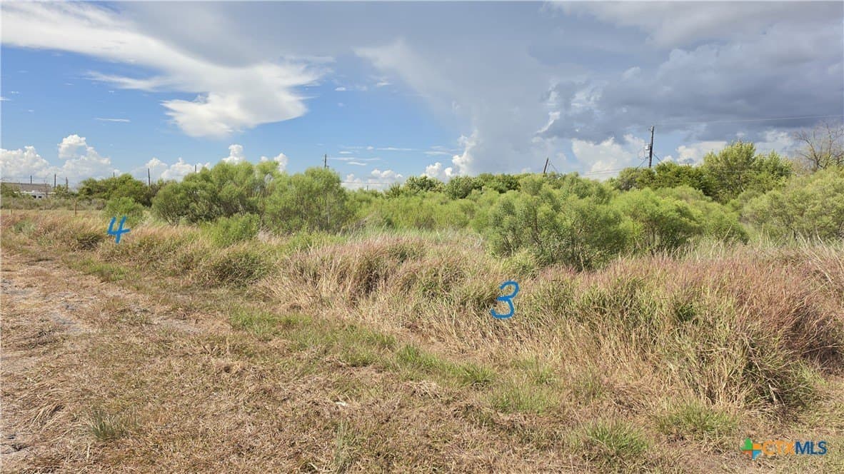0.33 acres in Calhoun County - photo 3