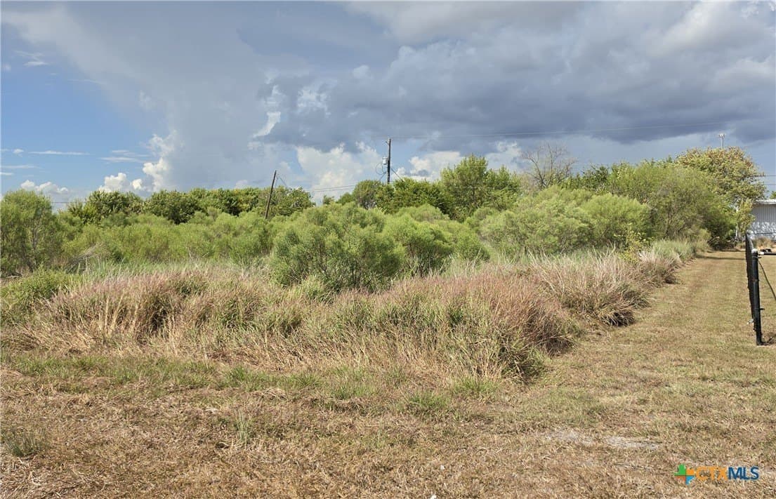 0.33 acres in Calhoun County - photo 2