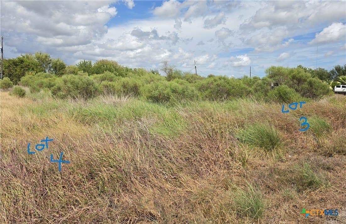 0.33 acres in Calhoun County - photo 4