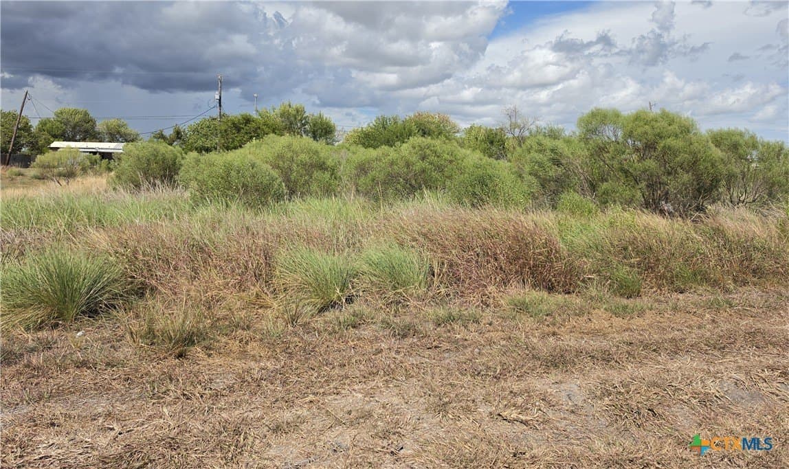 0.33 acres in Calhoun County - photo 5
