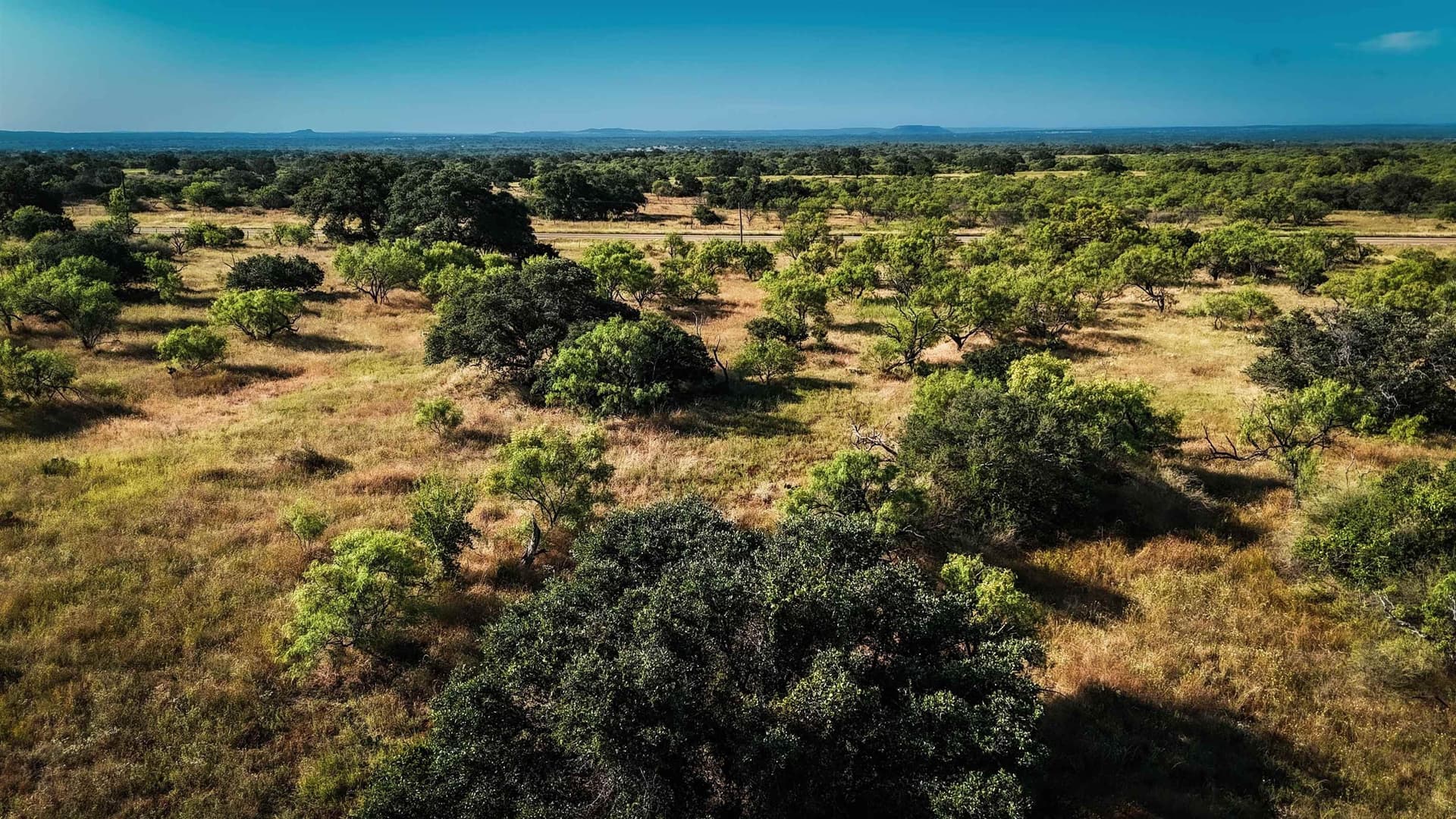66.52 acres in Llano County gallery image 2